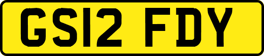 GS12FDY