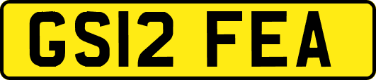 GS12FEA