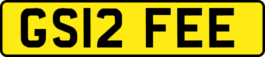 GS12FEE
