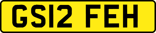 GS12FEH