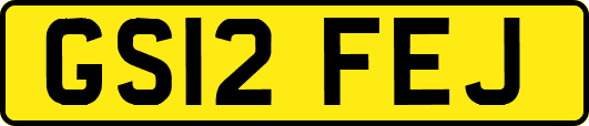 GS12FEJ