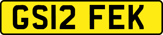GS12FEK