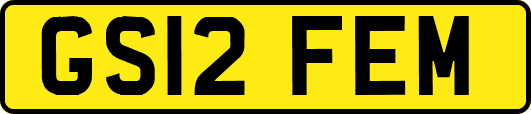 GS12FEM