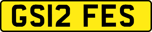 GS12FES