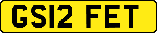 GS12FET
