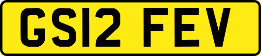 GS12FEV