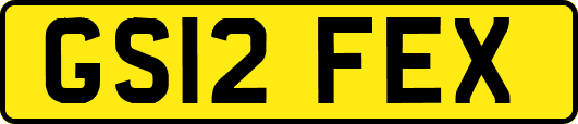 GS12FEX