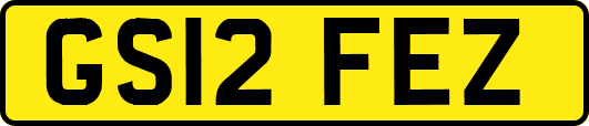 GS12FEZ