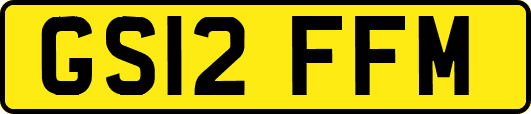 GS12FFM