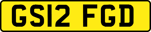 GS12FGD