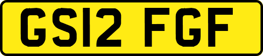 GS12FGF