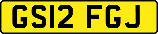 GS12FGJ