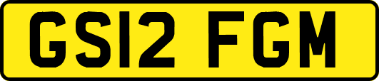 GS12FGM