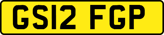 GS12FGP