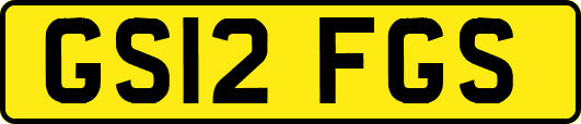 GS12FGS