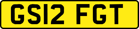 GS12FGT