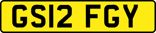 GS12FGY