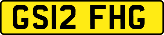 GS12FHG