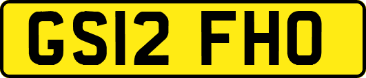 GS12FHO