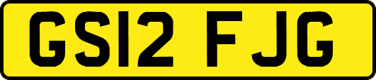 GS12FJG