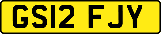GS12FJY