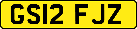 GS12FJZ