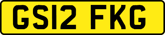 GS12FKG