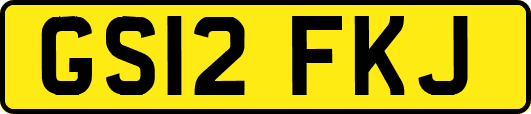 GS12FKJ