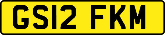 GS12FKM