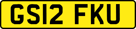 GS12FKU