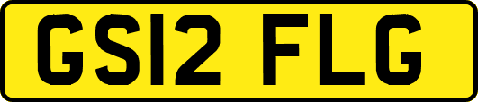 GS12FLG