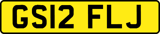 GS12FLJ