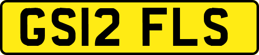 GS12FLS