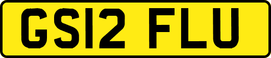 GS12FLU