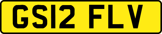 GS12FLV