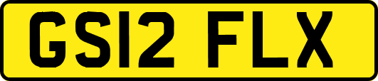 GS12FLX