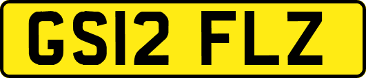 GS12FLZ