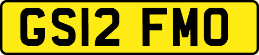 GS12FMO