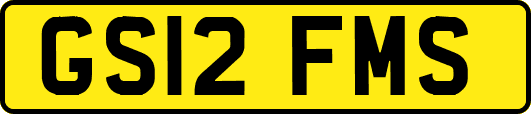 GS12FMS