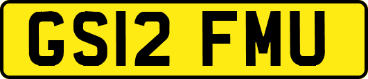 GS12FMU