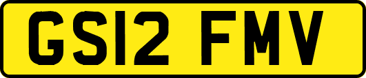 GS12FMV