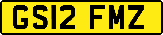 GS12FMZ