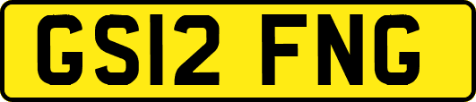 GS12FNG