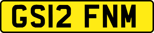 GS12FNM
