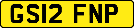 GS12FNP