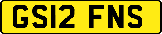 GS12FNS