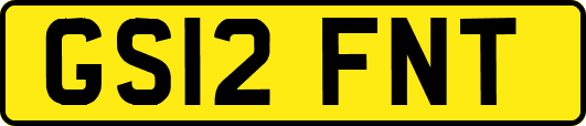 GS12FNT