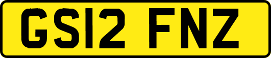 GS12FNZ