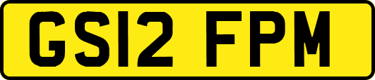 GS12FPM