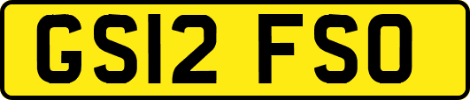 GS12FSO